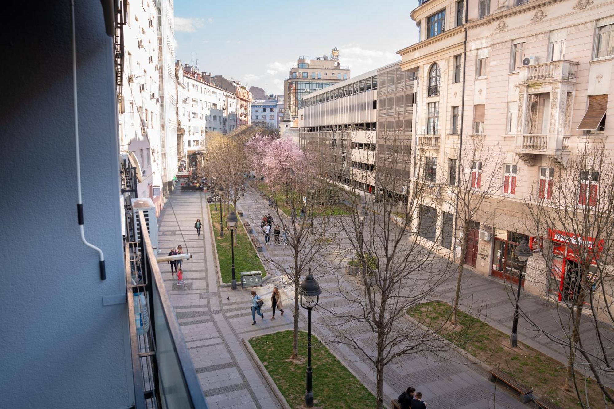 Tommy Apartment Belgrad Dış mekan fotoğraf